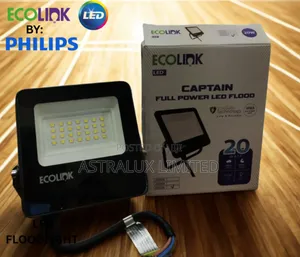 Philips Ecolink Flow 100w Flood Light