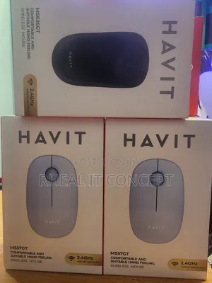 Havit Wireless Mouse