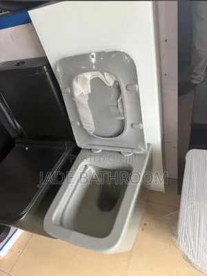 Concealed Water Closet Grey