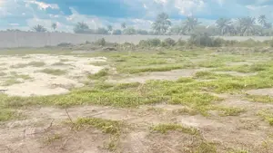 Verified Affordable Land on Airport Road, Omagwa (₦2.5m - ₦10m)