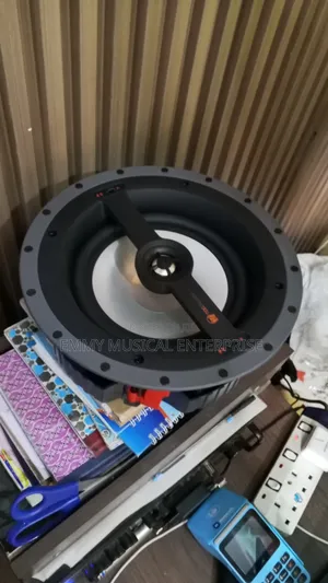 Original Subwoofer for Ceiling/Pop Speaker