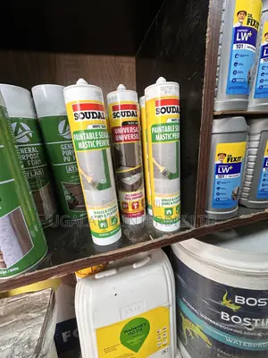 Universal All Surface Silicone Sealant