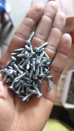 4.2*16 Self Drilling Screw 304 Stainless
