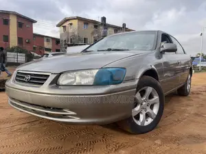 Toyota Camry 2002 Gray