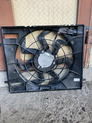 Radiator Fan Gle (W167)
