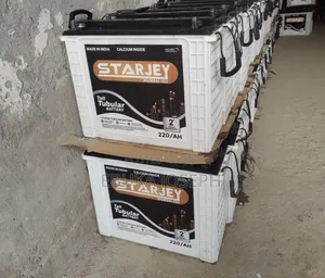 Starjey Tall Tubular Battery 220amps