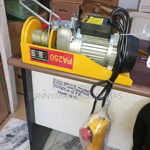 Pa1000 Mini Electric Wire Rope Hoist 1 Ton