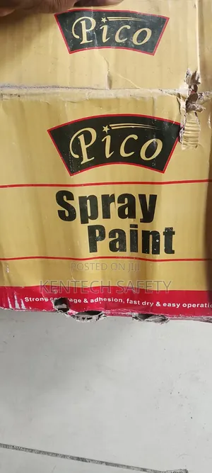 Spray Paint in Can Available