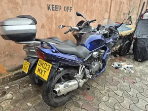 Suzuki Bandit 2004 Blue