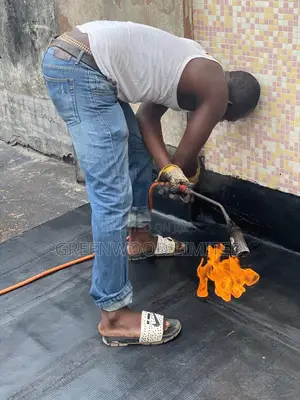 Roof Leakage and Repairs