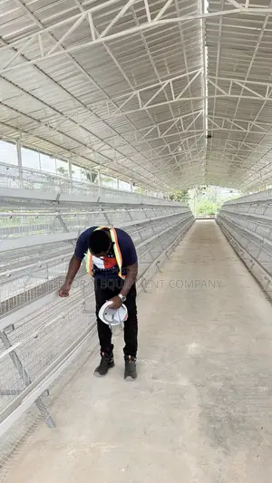 5000 Birds Steel Pen House With Cage Inclusive