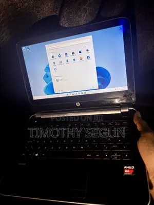 Laptop HP Pavilion 11 4GB AMD HDD 500GB