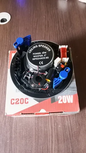 Passive Ceiling/Pop Speaker