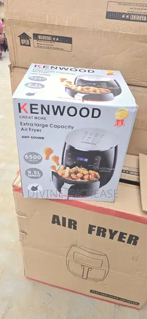 Kenwood Airflyer