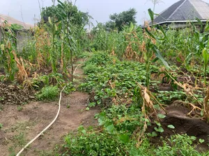 Half Plot of Land for Sale