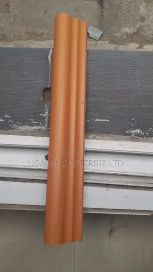 Modern Pool Edge Coping