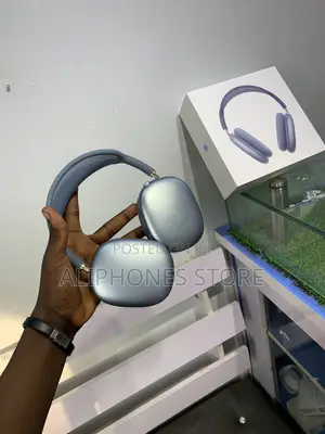 Original Airpods Max (Type-C)