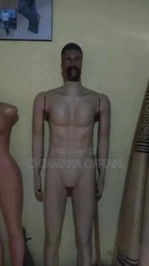Male Mannequin