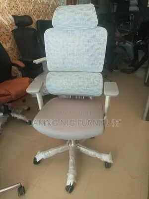 Executive Office Mesh Chair