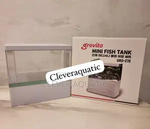 Mini Fish Tank