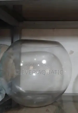 Clear Fish Bowl (Size 40)