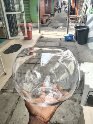 Fish Bowl (Size 25)