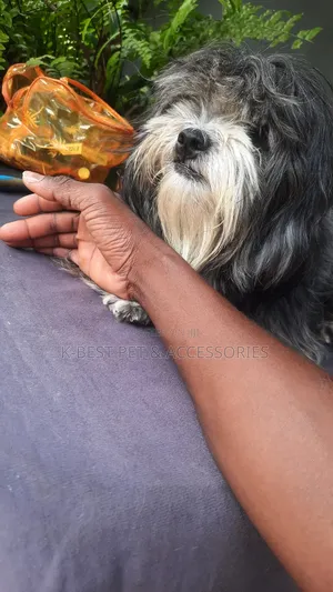 Part Time Job in Omole Ojodu