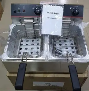 Electric Fryer