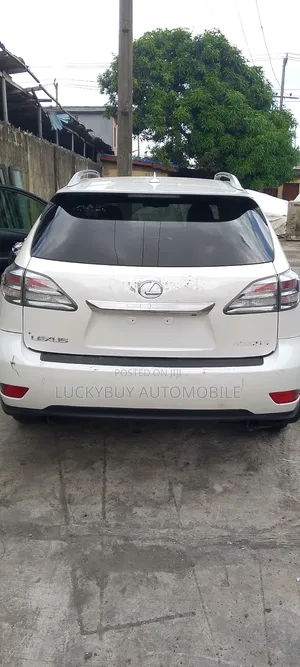 Lexus RX 2010 White