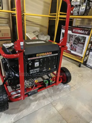 Firman Ecological 12kva Generator