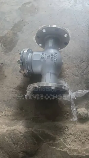 3 Inches Stainless Non Return Valve