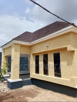 Gravitex Paint 