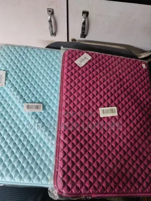 Laptop in Bag