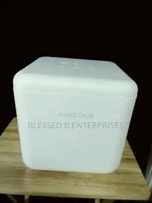Strong Foam Cooler With Cover