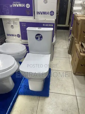 Executive Vstar Toilet Seat With Complete Wash Hand Basin