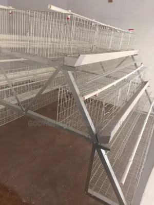 Hot Deep Galvanized Battery Cage for Poultry