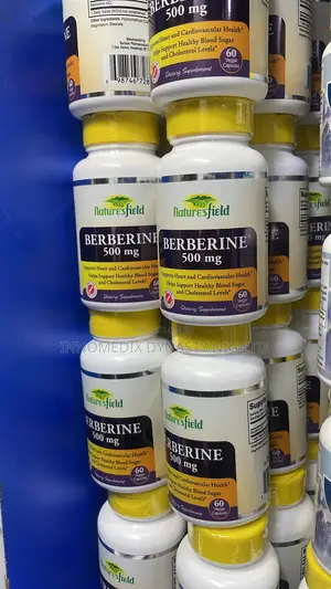 Berberine 500 Mg 500 Mg
