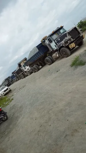 High Quality Chippings