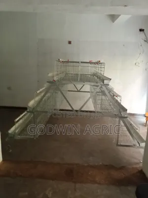 120 Birds Capacity Layer Cage