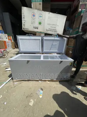 Scanfrost 600l Inverter Double Doors Freezer