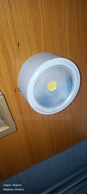 Led Cob Downlight Big Size White Body