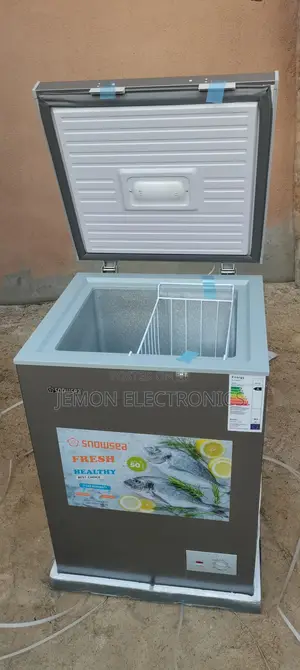 Snowsea Bd-158 100 Liters Chest Freezer – Energy Saving Freezer