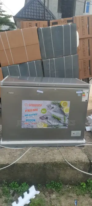 Snowsea 350liter Chest Freezer –Fast Cooling Deep Freezer for Home