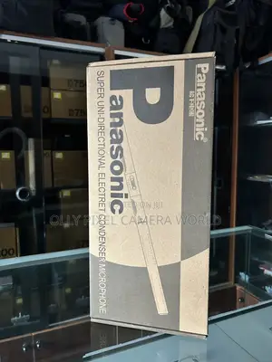Panasonic Boom Mic