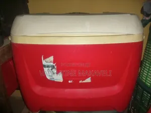 Igloo Cooler