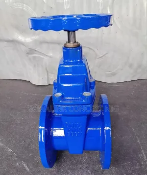 Gate Valve Dn25