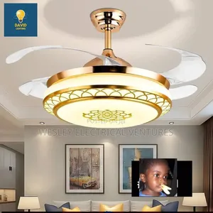 Fan Chandelier Light