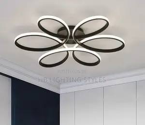 Modern Led Ceiling Lamp