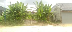 1 Fenced Plot of Land