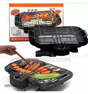 Electric Barbecue Grill